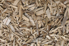 biomass boilers Strubby